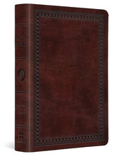 ESV Large Print Compact Bible, Red Letter (Trutone, Mahogany, Border Design) picture