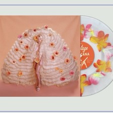 Remy Bond Backstage At The Tropicana Bad World Flower Filled Vinyl Sealed Inhand picture