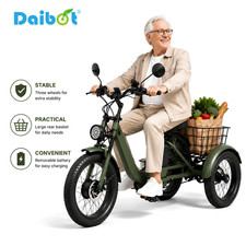 Daibot 750W Electric Trike 24