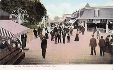 Portland Oregon Oaks Amusement Park 1905 Lewis and Clark Expo Vtg Postcard J7 picture