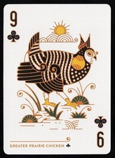 GREATER PRAIRIE-CHICKEN - 