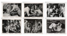 Something of Value (1957) – Set of 6 B/W 8x10 Photos – Rock Hudson Dana Wynter picture