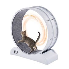 Uimoso Cat Exercise Wheel 31.5 in Large Indoor Cat Running Wheel Treadmill White picture