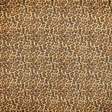 Ottertex Canvas Waterproof Printed Cheetah Fabric Sold By The Yard picture