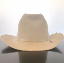 Vintage Stetson Western Cowboy Hat Range dark Silverbelly 7 3/8 Oval Wisp XX picture