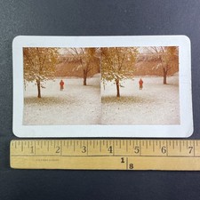 Early Snow West Saint Paul Minnesota Stereoview Walter N. Trenerry 1977 Color picture