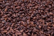 BULK 2 KG Cacao Beans - PREMIUM WHOLE RAW CACAO BEANS FREE POST - VACCUM PACKED picture