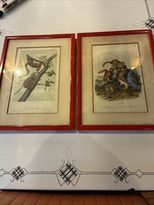 You Are Buying 2 Beautiful Prints By JJ AUDUBON VERY OLD. picture