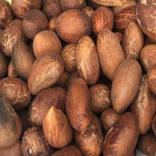 Bitter Kola Nuts –Garcinia Kola –6 Whole African Bitter Kola Nuts –Fresh Orogbo picture