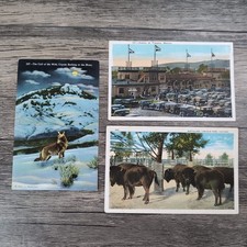Vintage Postcard 1939 The Call of the Wild, Chicago, Tijuana Mexico Unused Rare picture