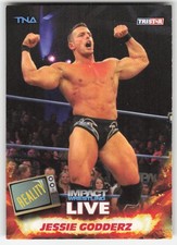 2013 TriStar TNA Impact Live Jessie Godderz #53 picture