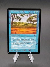 Phantasmal Terrain Limited Edition - Beta Edition MTG Regular Lightly Played picture