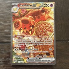 Dachsbun ex 169/142 Sv07: Stellar Crown Holo picture