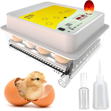 OBI-36 Egg Incubator for Hatching - 36 Eggs - Stable Temperature & Humidity Cont picture