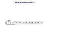 Veterinary Proximal Femur Locking Plate instruments Stainless Steel picture