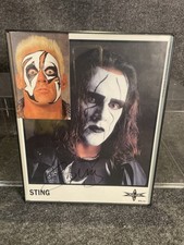 Sting Signed Autographed Official WCW 8x10 MINT Promo Photo Framed 1999 Vintage picture