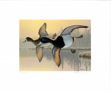 MINNESOTA #31 2007 DUCK STAMP PRINT by Sara Stack,  mint & artist signed stamps picture