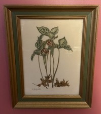 Rare Antique Early American Folk Art Theorem on Velvet Jack-In-the Pulpit Signed picture