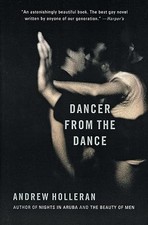 Dancer from the Dance: A Novel By Andrew Holleran picture