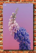 368060 Flume Tiny Cities Artist Music Decor Wall Print Poster picture