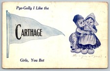 Carthage  New York    Pennant Postcard  1912 picture