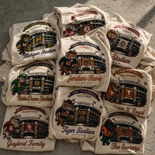 Vintage College Football Stadium Graphic T-Shirt, Retro University Mascot Tee picture