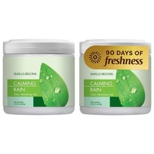 SMELLS BEGONE 15oz Gel Odor Eliminator - Absorb & 15 Ounce (Pack of 2), Green  picture