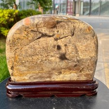 3.37LB Beautiful Natural Chinese Dendritic Limestone Picture Stone Guohua - Rare picture