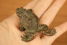 Antique old bronze hand casting fortune frog statue jin chan tea pet tray deco picture