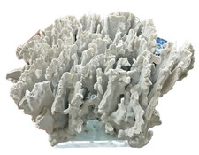 HUGE Natural Solid White Coral Branch Heavy 24'' x 20'' inches 54 lb. picture