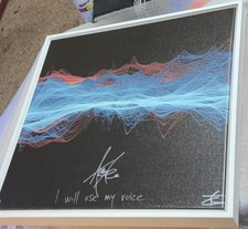 Amy Lee Evanescence Signed Soundwaves Art Framed - Very Limited To 49/50 Pieces  picture
