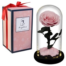 AINYROSE Gift for Women Forever Preserved Rose in Glass Dome with Light, Women picture