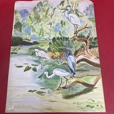 Heron Bird American Egret Print picture