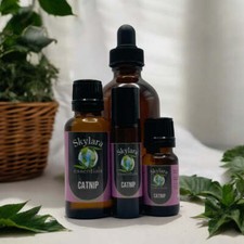 Catnip Essential Oil picture