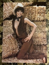 ORIGINAL 1981 ERIN MORAN HAPPY DAYS PRO-ARTS VINTAGE POSTER 28” X 20” BEAUTY picture