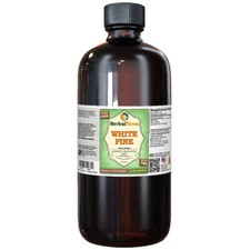 White Pine (Pinus Strobus) Tincture, Dried Bark Liquid Extract picture