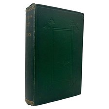 1868, The Irish in America, John Francis Maguire, [Rare] picture