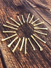 20 REAL COYOTE PAW BONE MOUNTAIN MAN CRAFT SKULL JEWELRY EARRING GOTHIC CLAWS picture