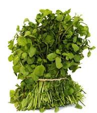 500+Watercress Seeds True Watercress Chinese Watercress Supperfood Microgreen US picture