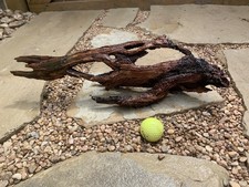 Natural Sinking Driftwood picture