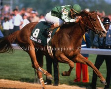 Genuine Risk 1980 Kentucky Derby Photo 8