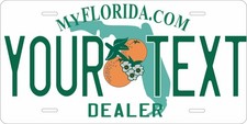 Custom Florida License Plate –Personalized Novelty Plate picture