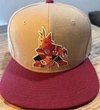 Arizona Coyotes Hat picture