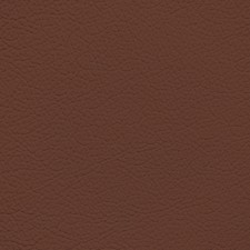 Ford/Lincoln/Mercury King Ranch Red Leather Dye picture