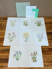 Vintage Wildflower Prints Nellie Meadows 1969 Fayette Park Print Lot of 8 picture