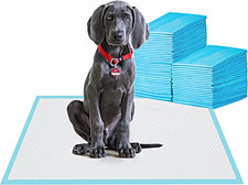 NIEDEO 23.6×23.6 Inch Dog Pee Pads 100pcs  for Dogs & Cats picture
