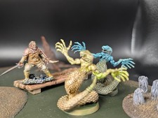 Well painted veteran 