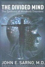 The Divided Mind: The Epidemic of Mindbody Disorders - Paperback - GOOD picture
