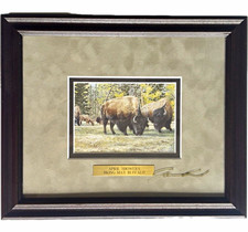  Vintage James Reed Fred Harvey Trading Co Signed Buffalo Print Frame MattedFC53 picture
