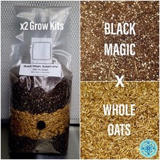 Premium Exotic Dung ALL-IN-ONE Mushroom Grow Kit 2 Pack Kit 5lb Bag picture
